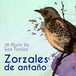 Zorzales de Antaño… Al Morir De Las Tardes