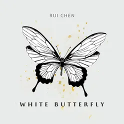 White Butterfly