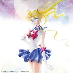 Pretty Guardian Sailor Moon THE 20TH ANNIVERSARY MEMORIAL TRIBUTE