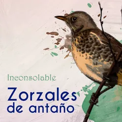 Zorzales de Antaño… Inconsolable