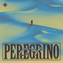 Peregrino