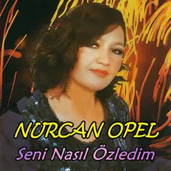 Seni Nasıl Özledim