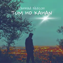 Tum Ho Kahan