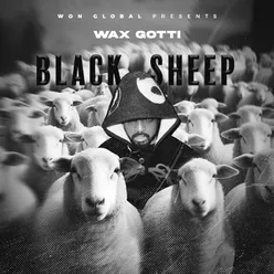 Black Sheep (Radio Edit)