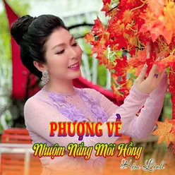 Phượng Về Nhuộm Nắng Môi Hồng