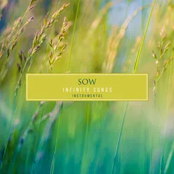 Sow: Infinity Songs