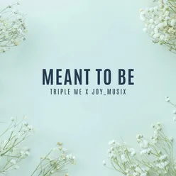 Meant To Be (remix)