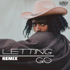 Letting Go (Dance Remix)