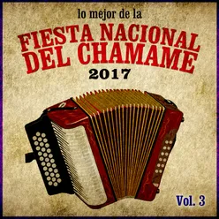 Lo Mejor de la Fiesta Nacional del Chamamé 2017, Vol. 3