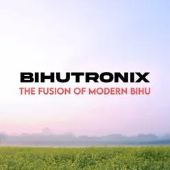 Bihutronix