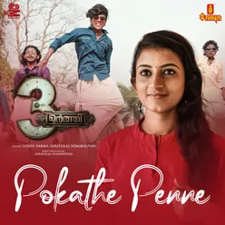 Pokathe Penne  (From "3Moorthy")