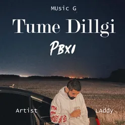 Tume Dillgi