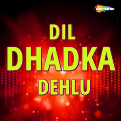 Dil Dhadka Dehlu