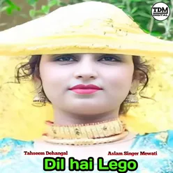 Dil hai Lego