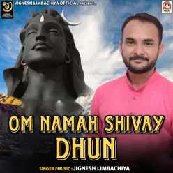 Om Namah Shivay (Dhun)