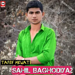 Sahil Baghodiya2