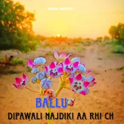 Dipawali Najdiki Aa Rhi Ch