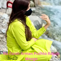 Da Zarah Arman Pushto Rabab Mange