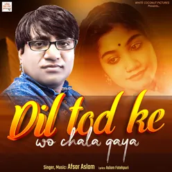 Dil Tod Ke Wo Chala Gaya