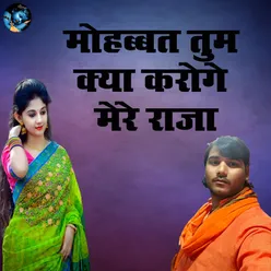 Mohabbat Tum Kya Karoge Mere Raja