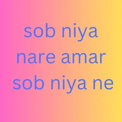 sob niya nare amar sob niya ne