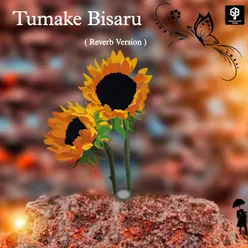 Tumake Bisaru Moi ( Reverb)