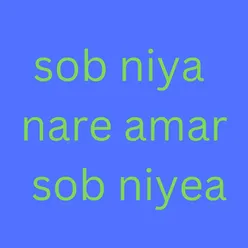 sob niya nare amar sob niyea