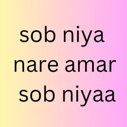 sob niya nare amar sob niyaa