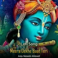 Meera Dekhe Baat Teri - Lofi Song