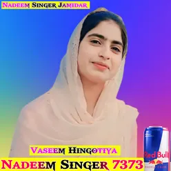 Nadeem Singer 7373