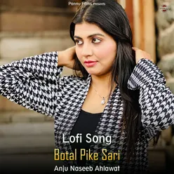 Botal Pike Sari - Lofi Song
