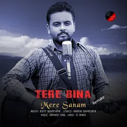 Tere Bina Mere Sanam (Remake)