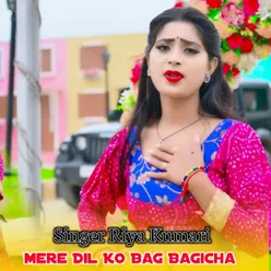 Mere Dil Ko Bag Bagicha