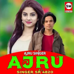 Ajru Singer SR 4820