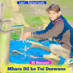 Mhara Dil ko Tui Deewano