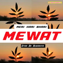 Meri Hari Bhari Mewat