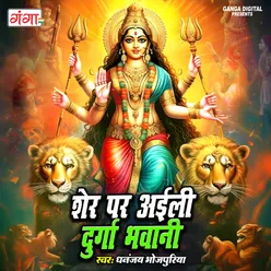 Sher Par Aeili Durga Bhawani