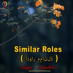 Similar Roles