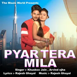 Pyaar Tera Mila