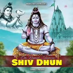 Om Namah Shivaya (Shiv Dhun)