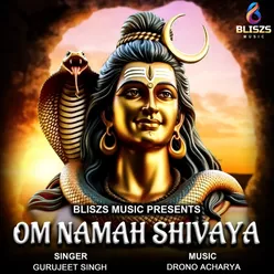 Om Namah Shivaya