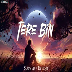Tere Bin Slowed  Reverb