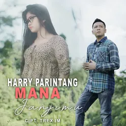 Harry Parintang - Mana Janjimu