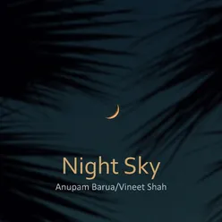 Night Sky