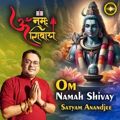 Om Namah Shivay Satyam Anandjee