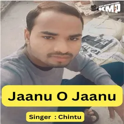 Jaanu O Jaanu