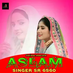 Aslam Singer SR 6550