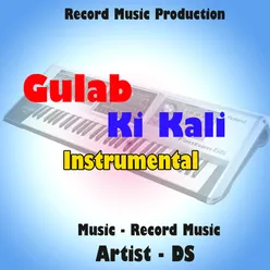 Gulab Ki Kali Instrumental