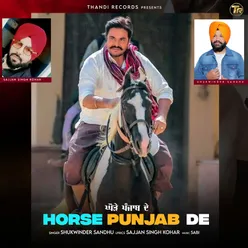 Horse Punjab De