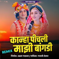 Kanha Pichali Mazi Bangdi (Remix) 4